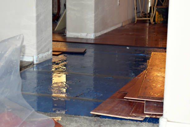 Professional Sewage Cleanup technician working in Lewisville, IN